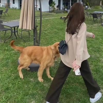 第一约会